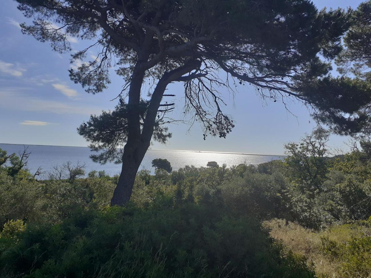 Mobilhome Agreable Sans Draps Ni Serviettes Port-la-Nouvelle Εξωτερικό φωτογραφία